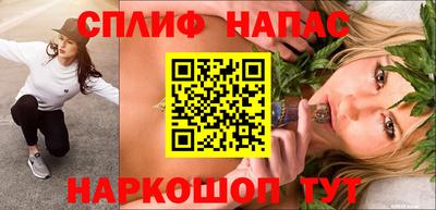 ешки Гатчина