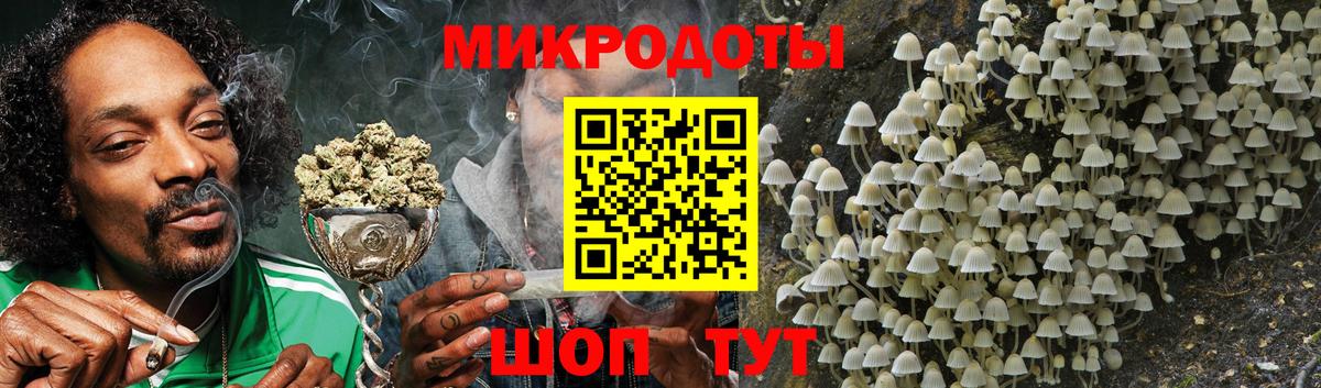 Галлюциногенные грибы Psilocybe  Вход с VPN  Горно-Алтайск  Псилоцибиновые грибы прущие грибы 